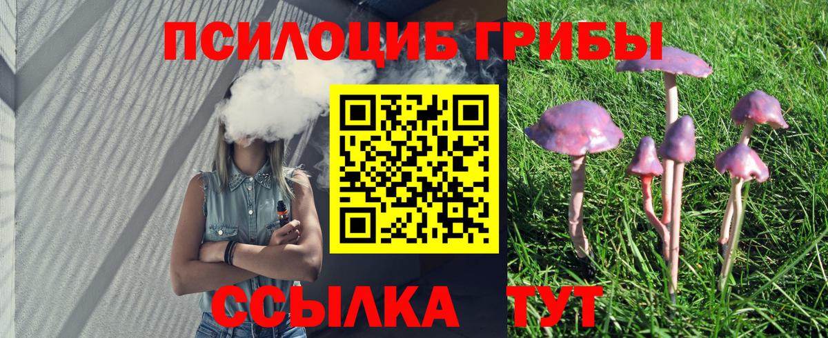 Галлюциногенные грибы GOLDEN TEACHER Старая Купавна